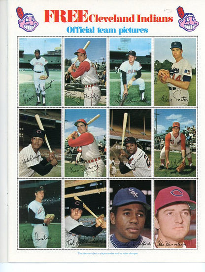 1971 Dell Stamp Album Cleveland Indians Complete Nettles Pinson 490750