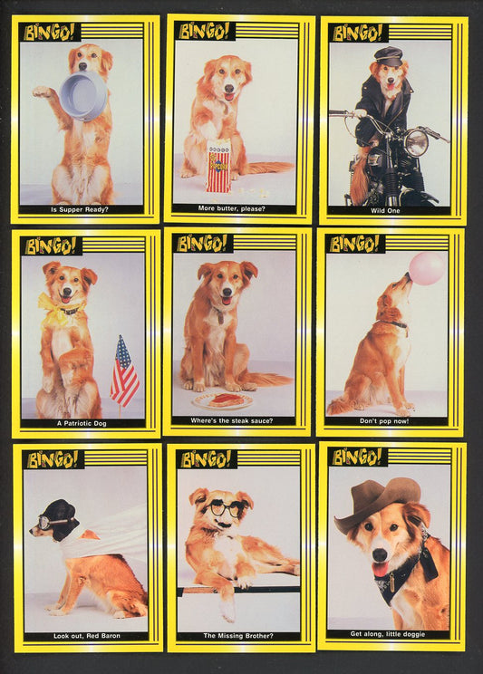 1991 Pacific Bingo Complete Set 544893