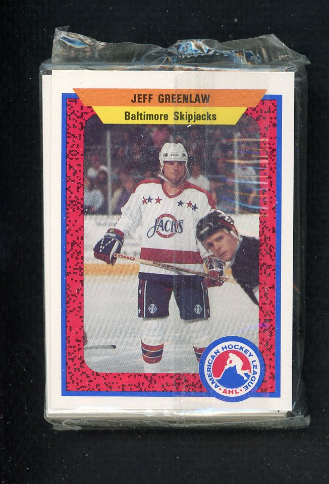 1991 Pro Card Rochester Skipjacks Complete Set 559827