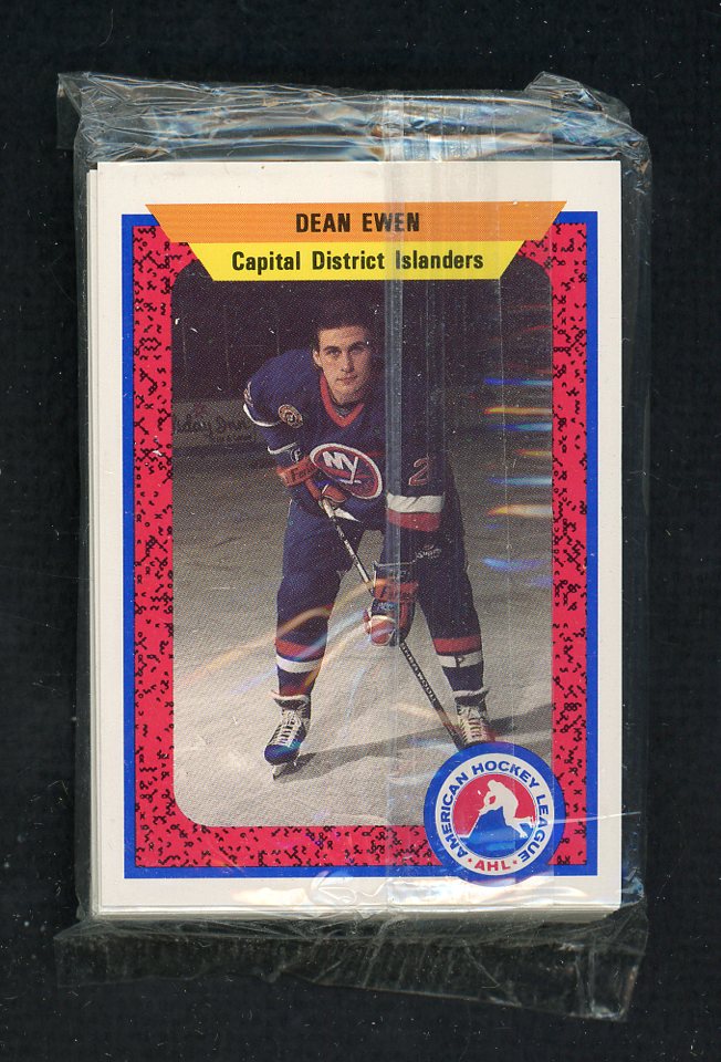 1991 Pro Card Capital District Islanders Complete Set 559830