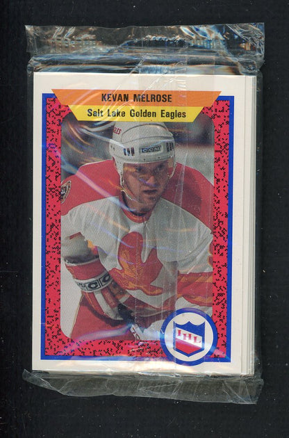 1991 Pro Card Salt Lake Golden Eagles Complete Set 559841