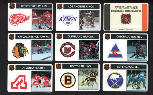 1976 Popsicle NHL Junior Membership Complete Set 560018