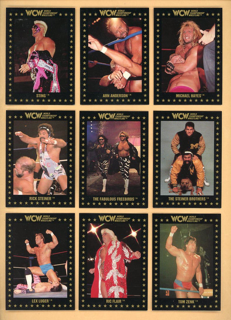 1991 Championship Marketing WCW Wrestling Complete Set 560086