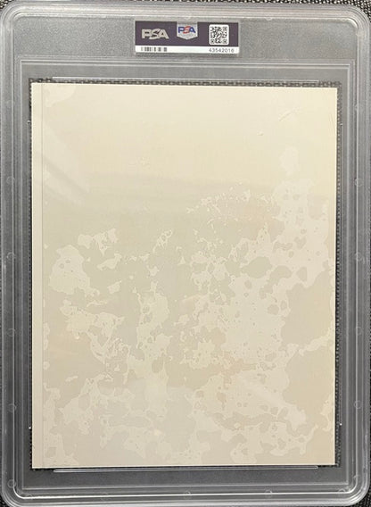 1964-66 Requena 8x10 Mickey Mantle Roger Maris PSA 4 VG-EX 565420