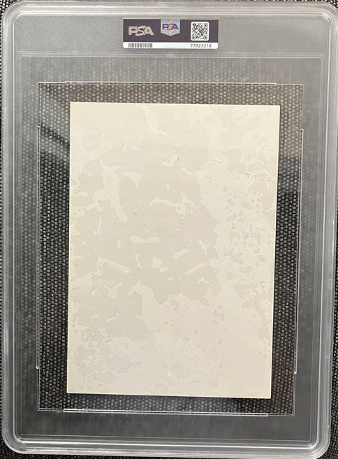 1960 Yankees Team Issue Mickey Mantle PSA 1 PR 565426