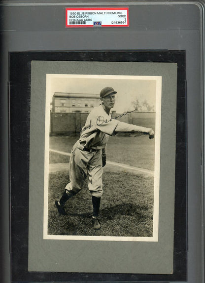 1930 Blue Ribbon Malt Premiums Bob Osborn Cubs PSA 2 GD 567197
