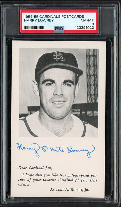 1954-55 Cardinals Postcards Peanuts Lowrey PSA 8 NM/MT 567549