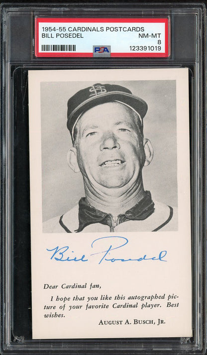 1954-55 Cardinals Postcards Bill Posedel PSA 8 NM/MT 567557